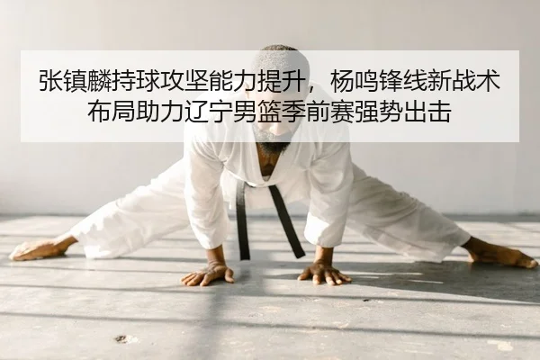 张镇麟持球攻坚能力提升，杨鸣锋线新战术布局助力辽宁男篮季前赛强势出击